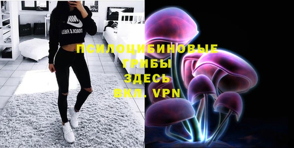 mix Алексеевка