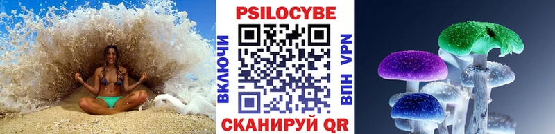 дарнет шоп  Протвино  Псилоцибиновые грибы прущие грибы 